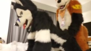Taiky X Johnny-Huskey MFF’2019